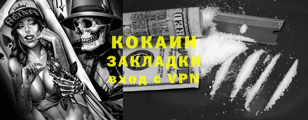 ПСИЛОЦИБИНОВЫЕ ГРИБЫ Елабуга