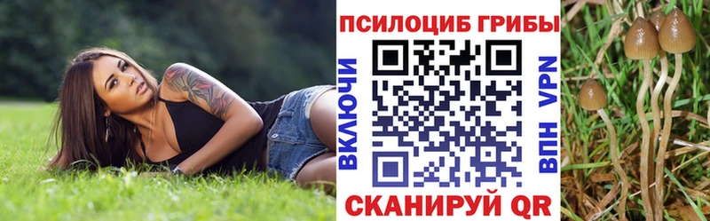 Галлюциногенные грибы MAGIC MUSHROOMS  Купить  Канаш 