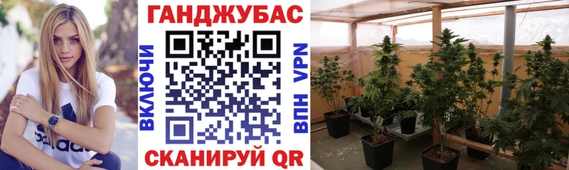 Бошки Шишки сатива Купить Канаш
